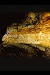 Casi Angeles En el Teatro Gran Rex 2007 HD | SHOW COMPLETO